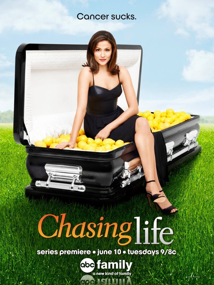Погоня за жизнью / Chasing Life (2014)