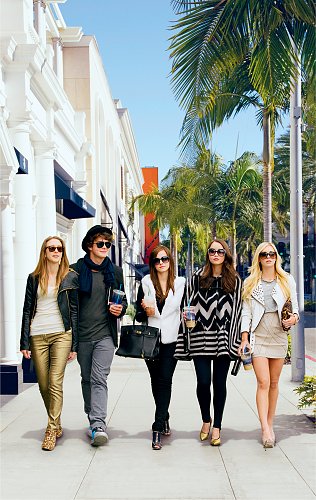 Элитное общество / The Bling Ring (2013)